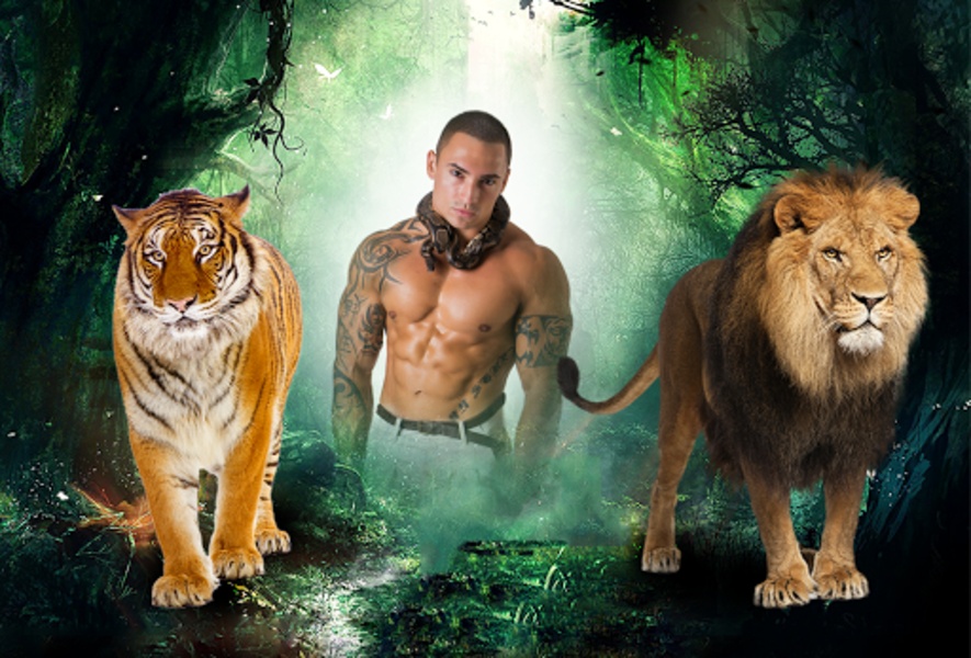 Wild Animal Photo Frames - Preview 6