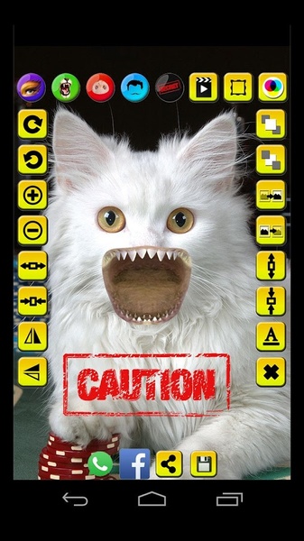 Face Fun - Photo Collage Maker 5 - Preview 3