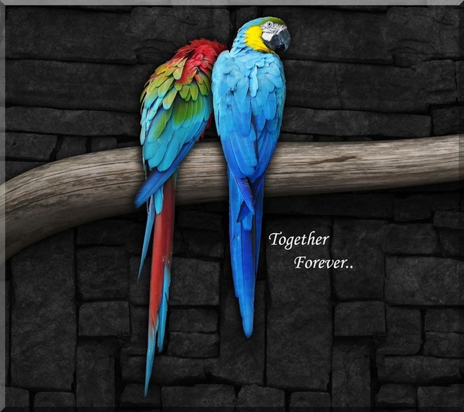 Love Quotes Images Whats - Preview 11