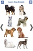 Dog Breeds 🐶 Golden Retriever | Rottweiler screenshot 17