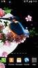Sakura and Bird Live Wallpaper screenshot 5