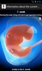 Pregnancy watcher widget screenshot 5