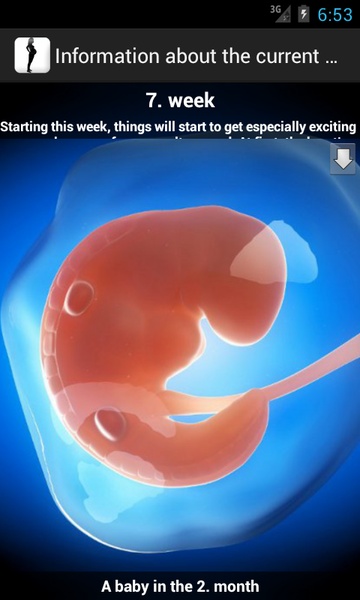 Pregnancy watcher widget - Preview 5
