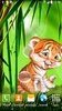 Cute tiger cub live wallpaper screenshot 4