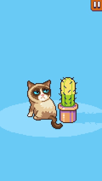 Grumpy Cat