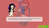 Circulatory System screenshot 3