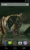 Tiger screenshot 4