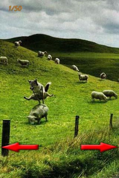 The best funny pictures - Preview 6