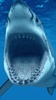 Shark Live Wallpaper screenshot 6