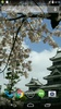 Spring Sakura Blossom Video Wallpaper screenshot 2
