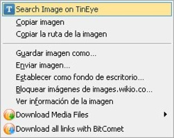 TinEye Reverse Image Search screenshot 2