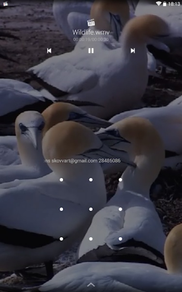 Media Player Classic Remote - Preview 6