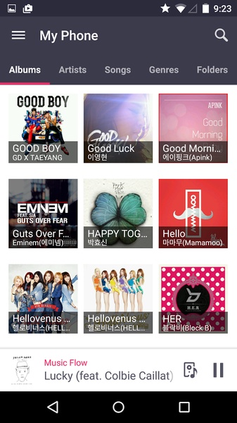 Music Flow Player - Preview 5
