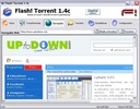 Flash Torrent screenshot 1