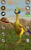 Talking Ornithomimids Dinosaur screenshot 6