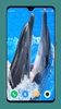 Dolphin Wallpaper HD screenshot 11