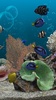 Marine Aquarium 3.2 screenshot 11