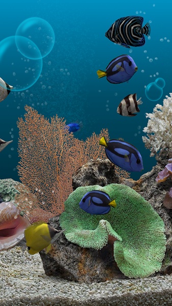 Marine Aquarium 3.2 - Preview 11