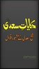 Hikayat-e-Sadi by Sheikh Saadi screenshot 5