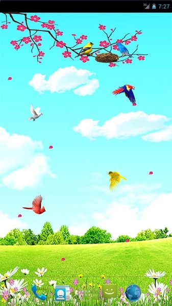Sky Birds (free) - Preview 7