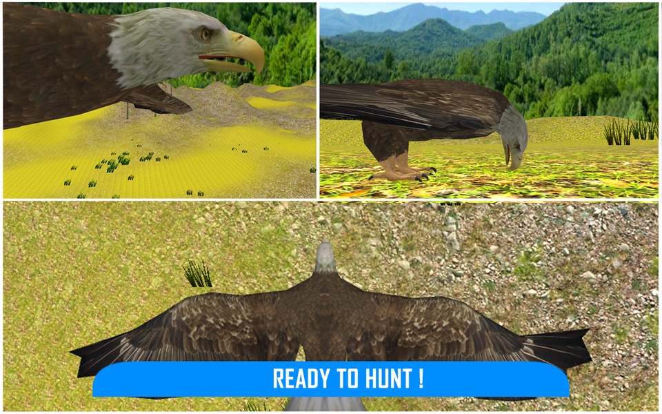 Wild Eagle Survival Hunt - Preview 1