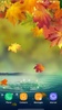 Autumn Wallpaper screenshot 7