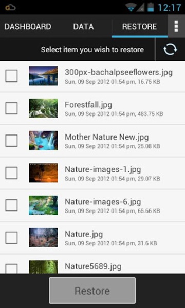 G Cloud Backup - Preview 4