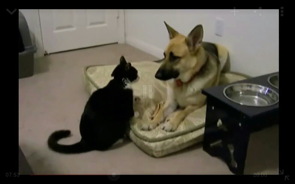 Funny Video Clips - Preview 2