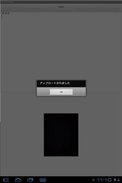 SplitCamera - Preview 1