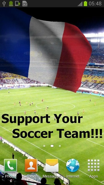 France Flag - Preview 10