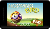 HoppingBird Deluxe screenshot 1