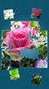 الورود لعبة اللغز screenshot 15