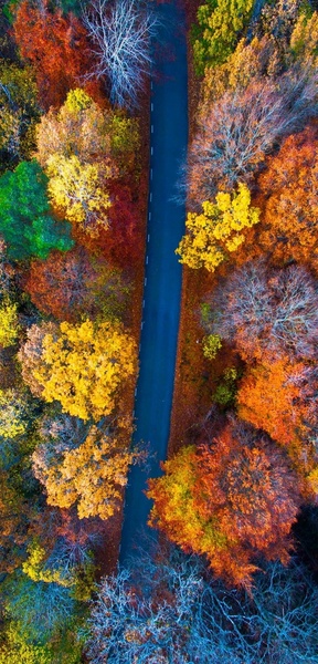 Amazing HD Wallpapers - Preview 2