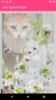 Cats Jigsaw Puzzle screenshot 6