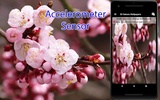 Sakura Live Wallpaper screenshot 5