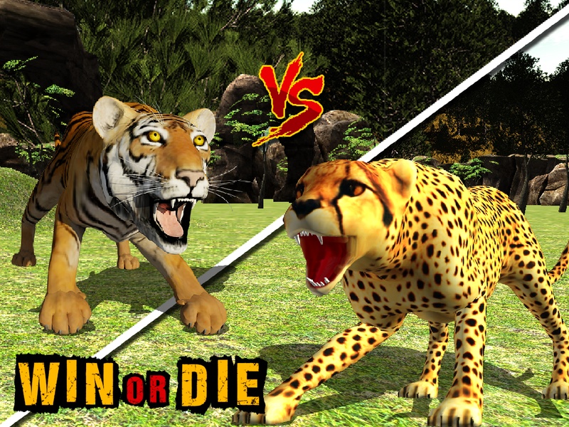African Cheetah Wildlife - Preview 10