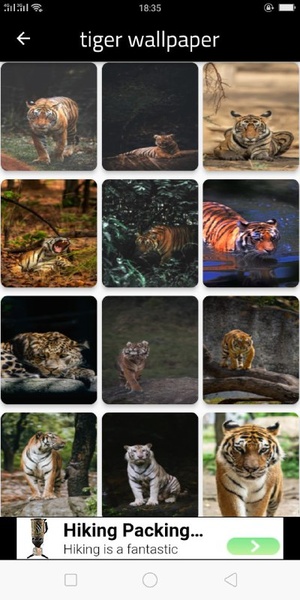 Tiger wallpaper - Preview 3