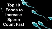 Foods to Increase Sperm Count screenshot 1