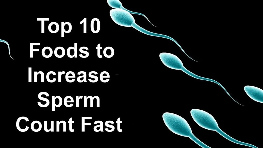 Foods to Increase Sperm Count - Preview 1