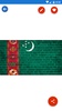 Turkmenistan Flag Wallpaper: F screenshot 4