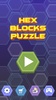 Hex Blocks Puzzle screenshot 18