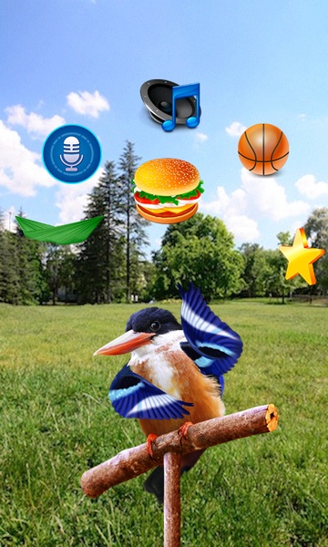 Real Talking Bird - Preview 6