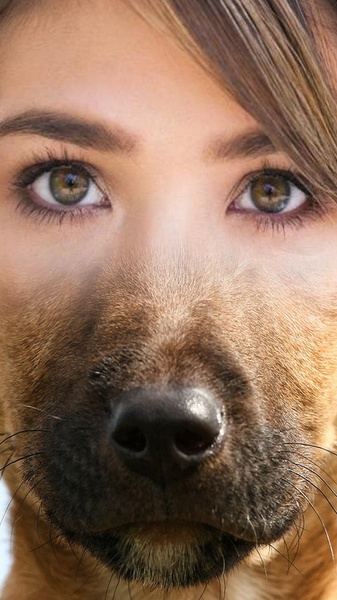 Animal Face Changer - Preview 4