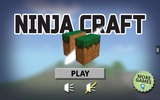 Ninja Craft Free screenshot 3