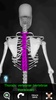 Bones Human 3D (anatomy) screenshot 7