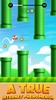 Flapping Flying Bird Game screenshot 7