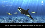 Orca and marine mammals screenshot 4