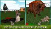 Pet Rabbit Vs Stray Dog 3D screenshot 5