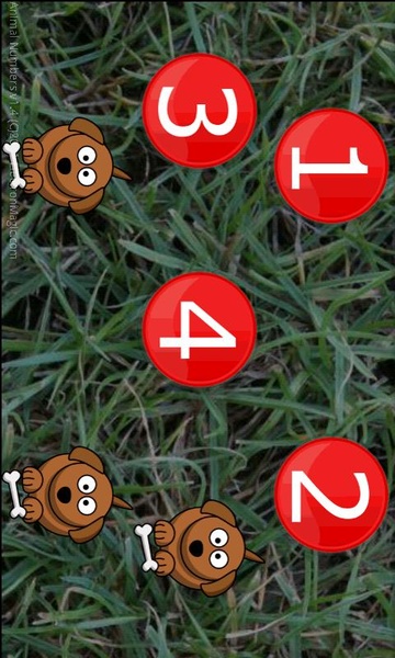 Animal Numbers - Preview 2