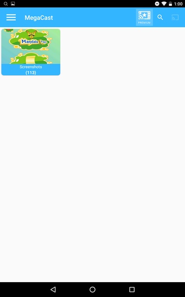 MegaCast - Chromecast Player - Preview 3